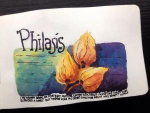 filasis, portugal, cartoons, cartoon diary, moleskine, illustrations, Sean D'Souza, Psychotactics, cartooning