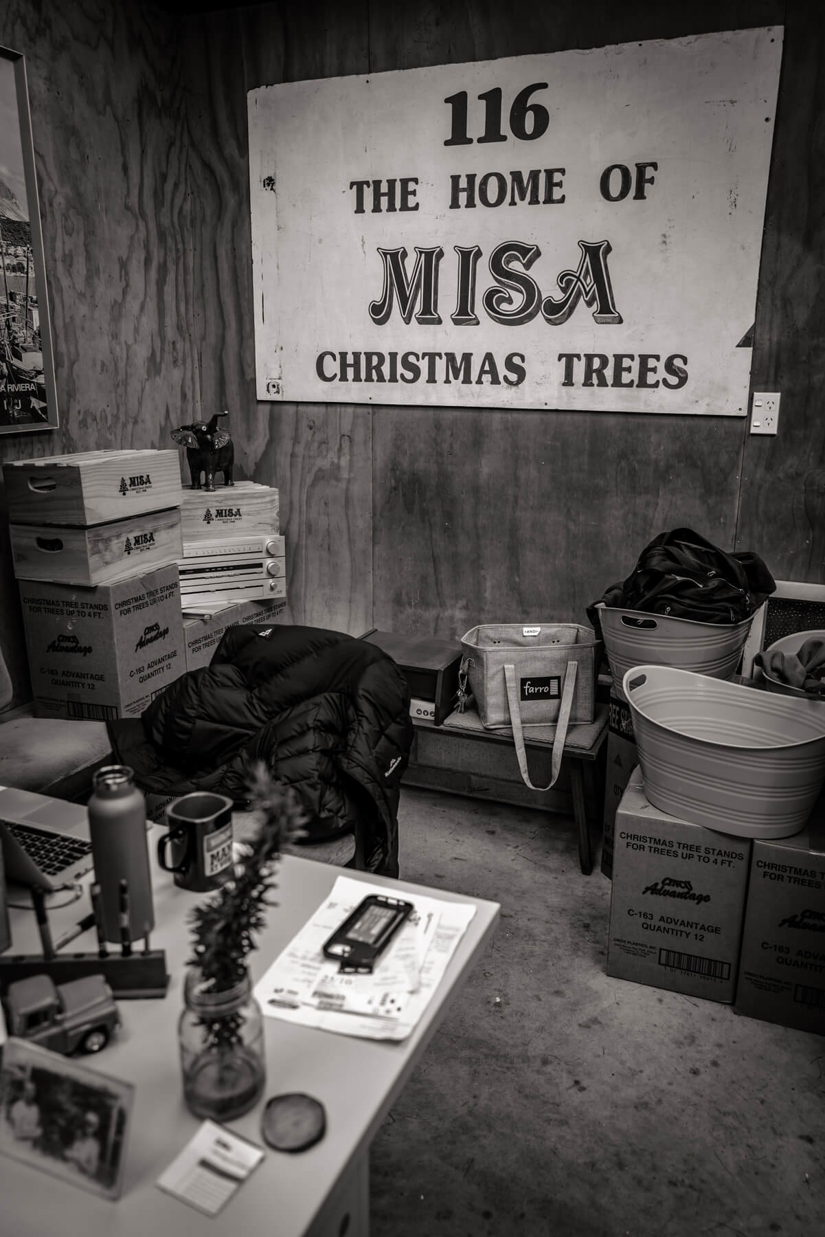 Misa Christmas Tree Farm, Mt.Eden, Auckland