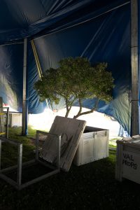 Weber Circus