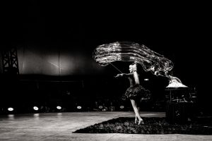 Weber Bros Circus