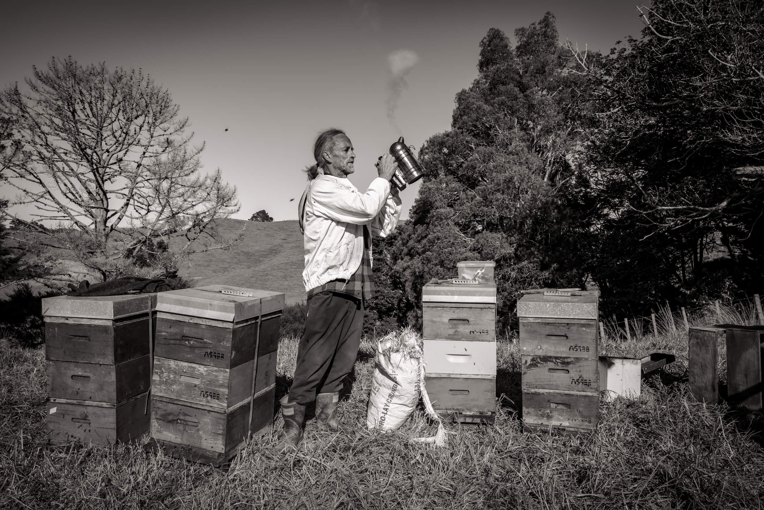 Mahurangi Honey, Warkworth